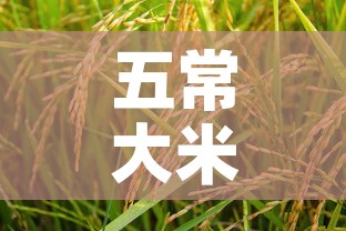 五常大米稻之金价格多少—(五常大米五稻红价格) 五常大米稻之金价格多少—(五常大米五稻红价格)