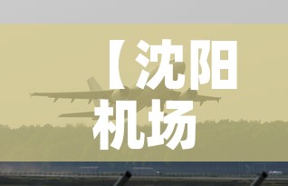 【沈阳机场新增疫情,沈阳机场最新疫情规定】 【沈阳机场新增疫情,沈阳机场最新疫情规定】