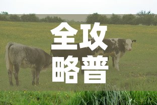 全攻略普及“开牛牛群怎么买房卡	”详细房卡教程