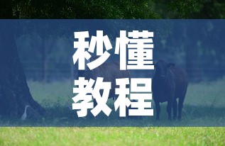 秒懂教程“微信牛牛群斗牛群”获取房卡教程-哔哩哔哩