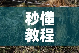 秒懂教程“微信牛牛群斗牛群”获取房卡教程-哔哩哔哩