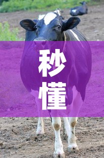 秒懂教程“微信牛牛群斗牛群	”获取房卡教程-哔哩哔哩