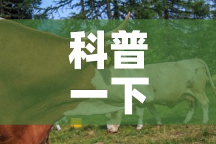 科普一下“微信牛牛群房卡怎么弄”房卡怎么购买