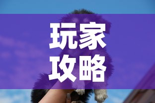 玩家攻略“斗牛房卡牛牛房卡”详细房卡怎么购买教程