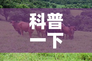 科普一下“微信牛牛群斗牛群”详细房卡教程