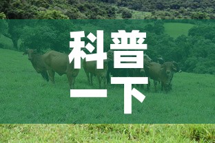 科普一下“微信牛牛群斗牛群”房卡使用教程