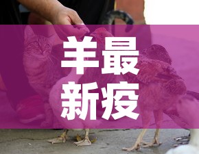 羊最新疫情消息在哪里 → 羊 疫情