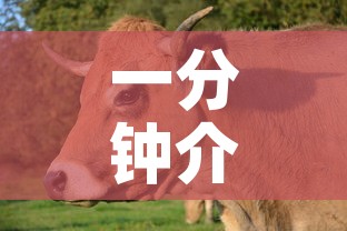一分钟介绍使用“微信怎么建房玩斗牛”购买房卡介绍