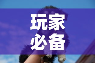 玩家必备教程“斗牛房卡牛牛房卡”购买房卡介绍