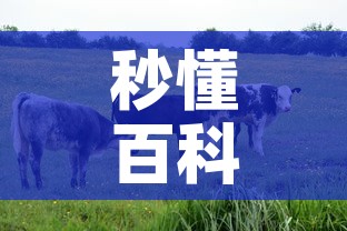 秒懂百科“微信牛牛群房卡	”购买房卡介绍
