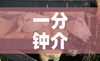 一分钟介绍使用“微信牛牛群斗牛群	”轻松获取房卡全渠道