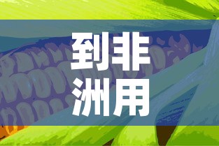 到非洲用粮食换黄金价格 → 非洲买黄金 到非洲用粮食换黄金价格 → 非洲买黄金