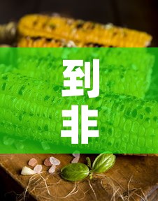 到非洲用粮食换黄金价格 → 非洲买黄金 到非洲用粮食换黄金价格 → 非洲买黄金