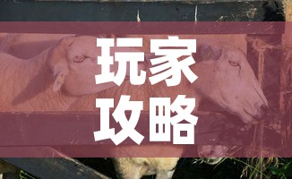 玩家攻略“微信牛牛群斗牛群”轻松获取房卡全渠道