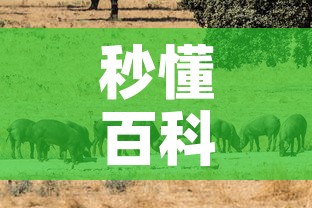 秒懂百科“微信房卡斗牛牛有挂吗”详细房卡教程