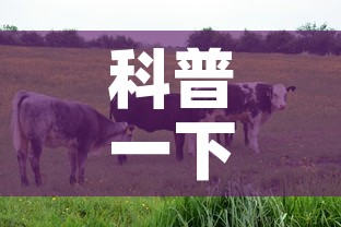 科普一下“微信牛牛群房卡怎么弄”房卡使用教程