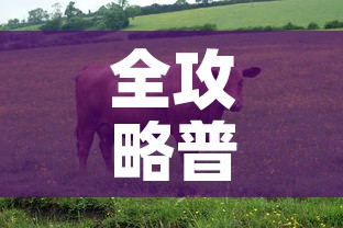 全攻略普及“微信牛牛群房间卡如何购买”详细房卡教程