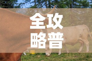 全攻略普及“微信牛牛群房间卡如何购买	”详细房卡教程