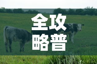 全攻略普及“微信牛牛群房间卡如何购买”详细房卡教程