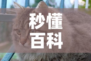 秒懂百科“斗牛房卡怎么购买	”购买房卡介绍