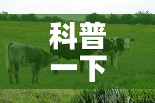 科普一下“微信牛牛群房卡哪里买”房卡链接获取