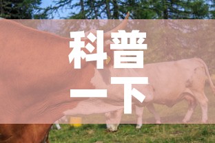 科普一下“微信牛牛群房卡哪里买”房卡链接获取