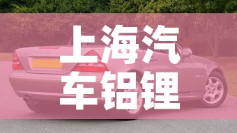 上海汽车铝锂合金价格表›上海汽车铝锂合金价格表最新