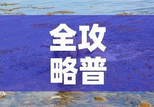 全攻略普及“斗牛房卡牛牛房卡”详细房卡教程