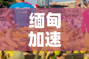 缅甸加速遣送中国人回国—(缅甸加速遣送中国人回国政策) 缅甸加速遣送中国人回国—(缅甸加速遣送中国人回国政策)