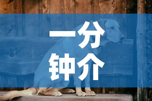 一分钟介绍使用“斗牛链接房卡怎么弄”购买房卡介绍