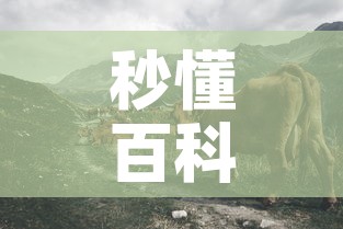 秒懂百科“微信牛牛群斗牛群”详细房卡怎么购买教程