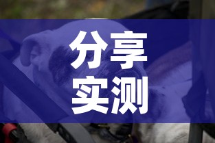 分享实测“微信牛牛群斗牛群	”详细房卡怎么购买教程