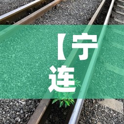 【宁连路高架限行·宁连路高架限行时间】