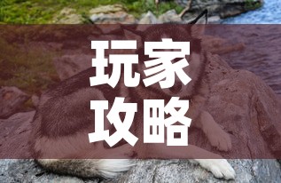 玩家攻略“购买斗牛房卡联系方式	”房卡获取方式