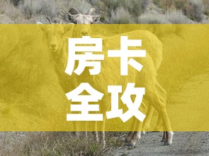房卡全攻略“微信牛牛群斗牛群”详细房卡教程