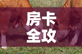 房卡全攻略“微信牛牛群斗牛群”详细房卡教程