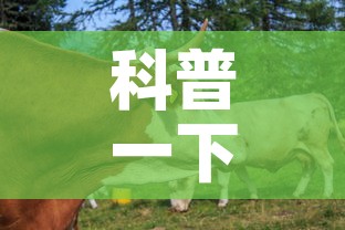 科普一下“微信牛牛群房卡怎么弄	”链接房卡在哪里获取