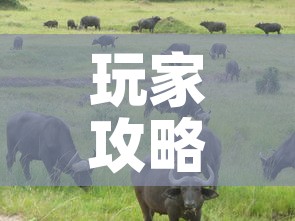 玩家攻略“微信牛牛群斗牛群	”房卡获取方式
