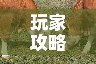 玩家攻略“微信牛牛群斗牛群”房卡获取方式