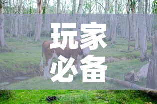玩家必备教程“微信牛牛群斗牛群	”链接房卡在哪里获取