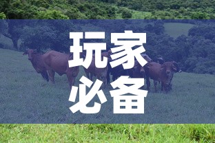 玩家必备教程“微信牛牛群斗牛群”链接房卡在哪里获取
