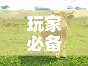 玩家必备教程“微信牛牛群斗牛群”链接房卡在哪里获取