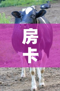 房卡必备教程“微信牛牛群斗牛群”房卡获取方式