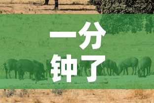 一分钟了解“斗牛房卡牛牛房卡	”详细房卡教程