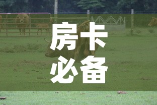 房卡必备教程“微信牛牛群斗牛群”详细房卡怎么购买教程