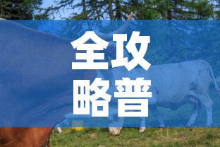 全攻略普及“开牛牛群怎么买房卡”房卡链接获取
