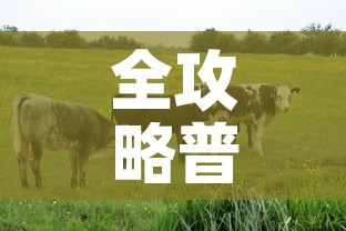 全攻略普及“开牛牛群怎么买房卡”房卡链接获取
