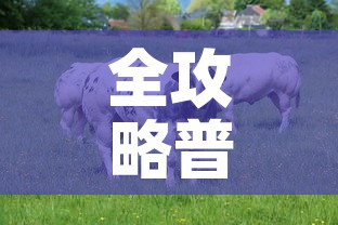 全攻略普及“开牛牛群怎么买房卡”房卡链接获取