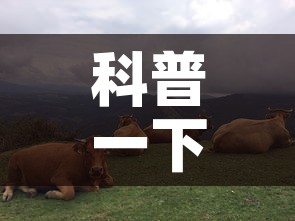科普一下“微信斗牛牛链接”房卡使用教程