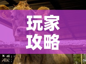 玩家攻略“微信牛牛群斗牛群”房卡详细充值
